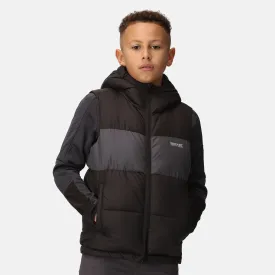 Regatta Lofthouse Bodywarmer