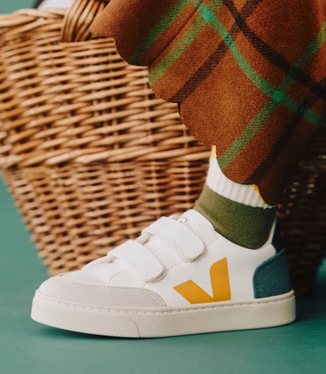 V-12 CHROMEFREE LEATHER | MULTICO BRITTANY
